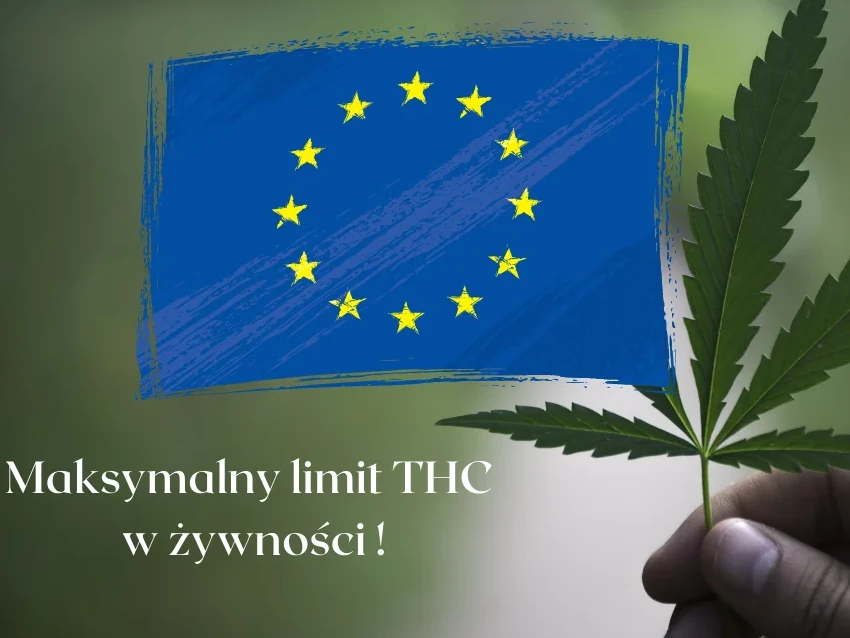 Maksymalny limit THC w żywności !