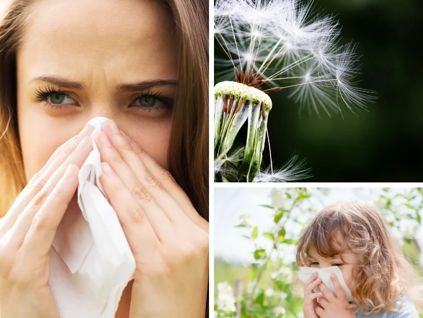 Wiosna bez alergii !